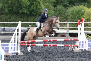 Class 5 - Fences not above 2'6